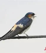 燕E霫鐽冩r%i叟hqN蹋(燕wan)-开云体育平台